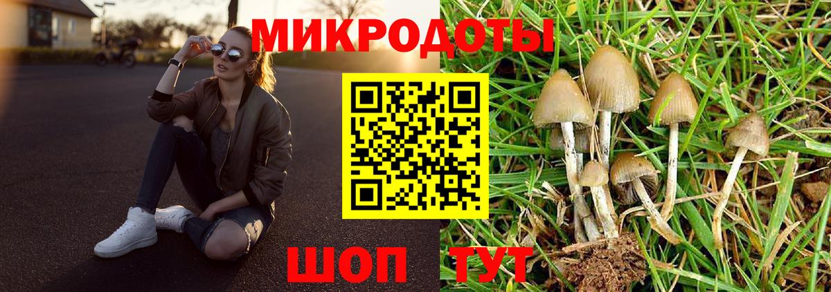 Псилоцибиновые грибы мицелий  Вход с VPN  Набережные Челны  купить  сайты  Галлюциногенные грибы прущие грибы 